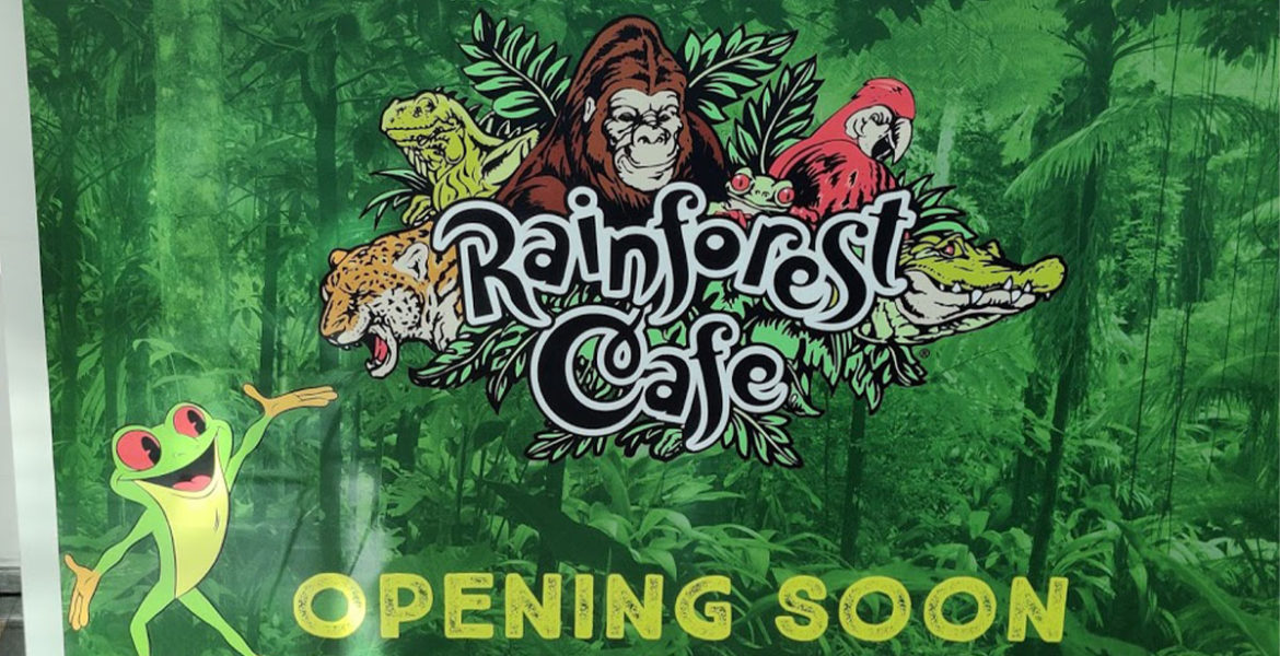 Rainforest Cafe Restaurant – Opening Soon in Dubai