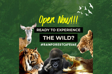 We Are Now Open!!! in Dubai Festival City Mall (DFC Mall)